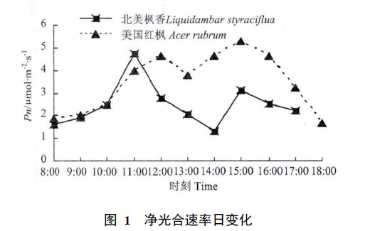 圖 1 凈光合速率日變化