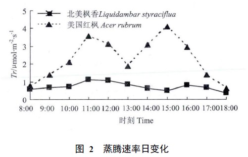 圖 2 蒸騰速率日變化